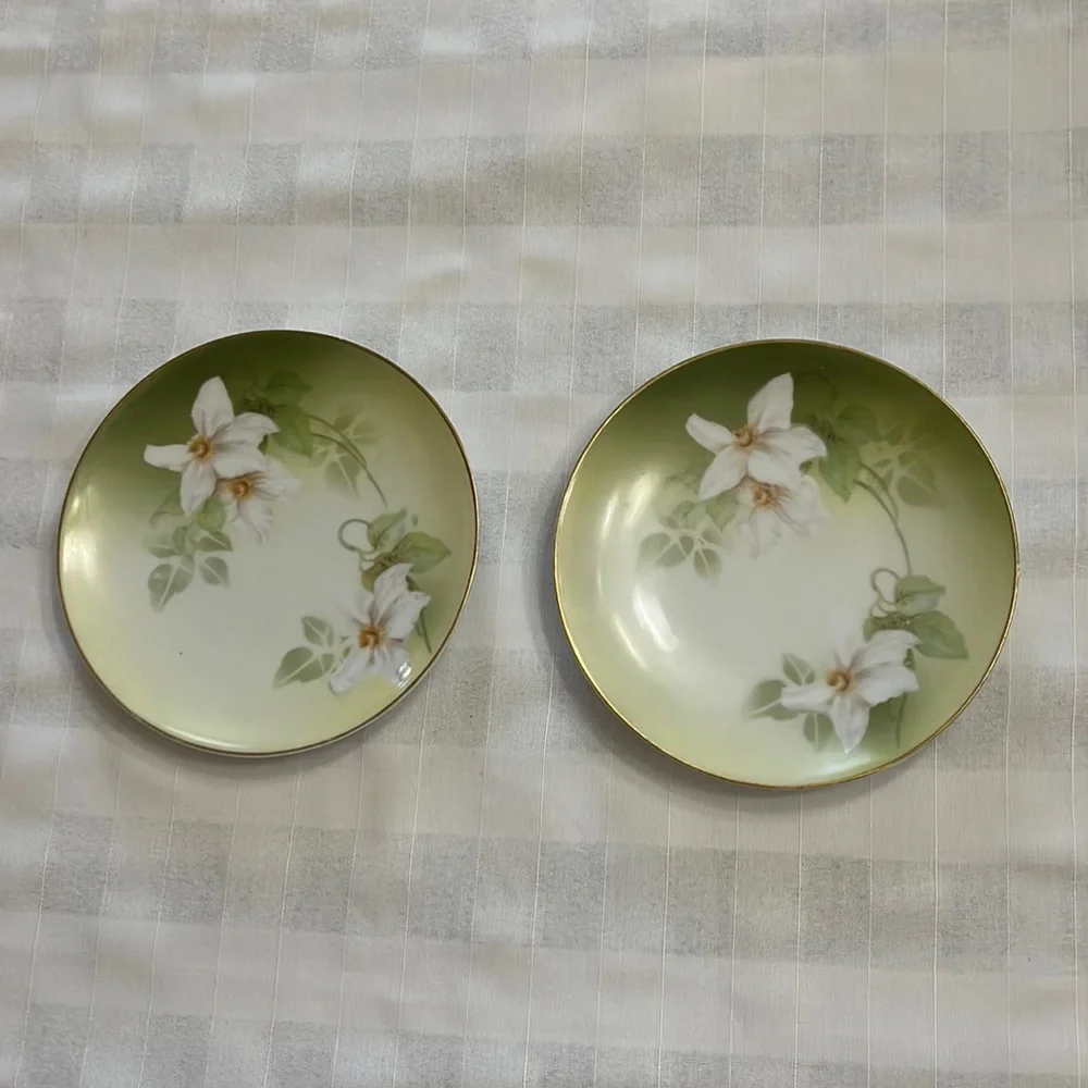 Antique delicate white floral design on porcelain plates RS Tillowitz Germany